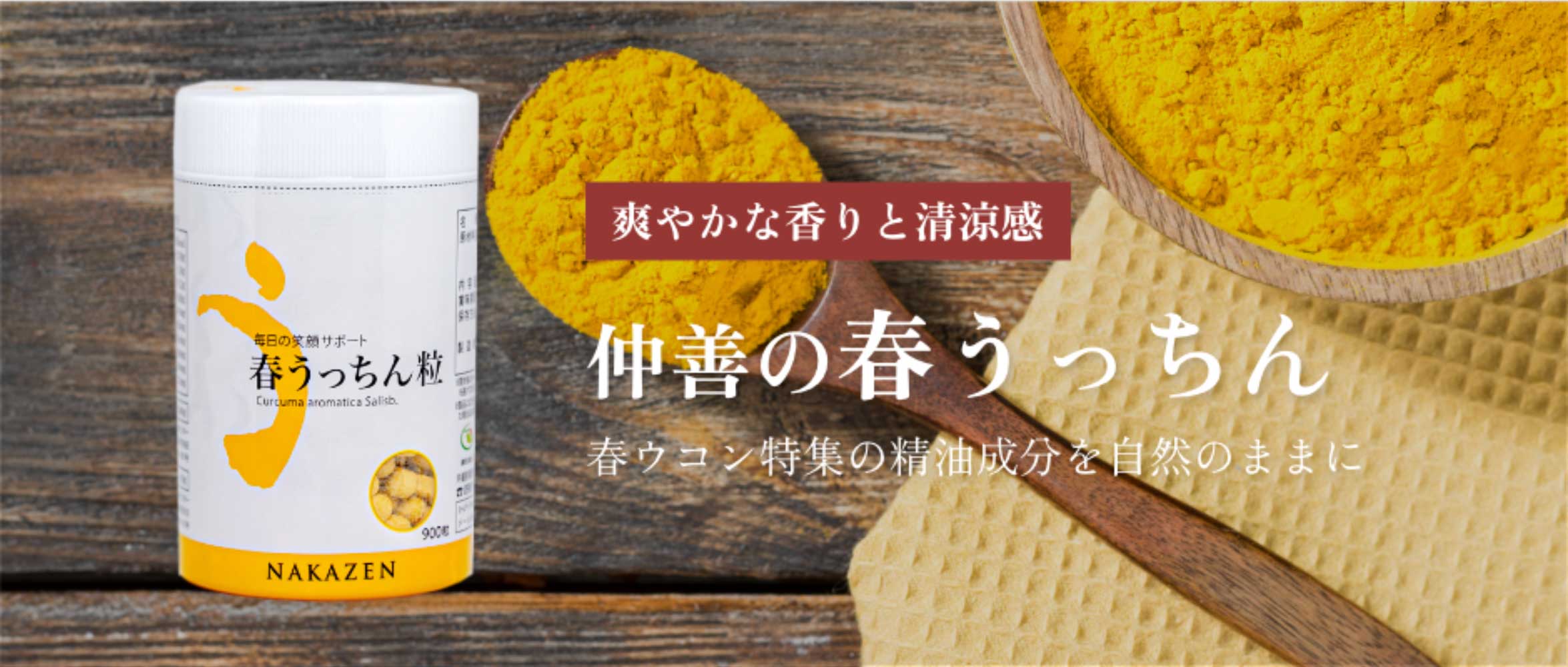 仲善の春うっちん