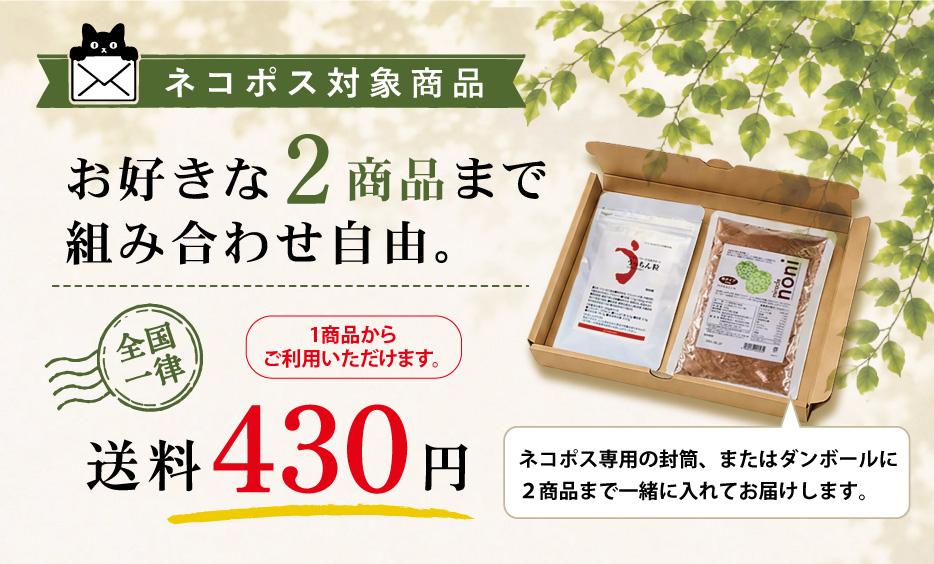 ネコポス上パソコン